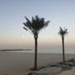 20230417168173074591751708pngmarkScale30markAligncentercentermarkAlpha064999997615814 344