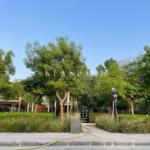 20230417168173074591751708pngmarkScale30markAligncentercentermarkAlpha064999997615814 393