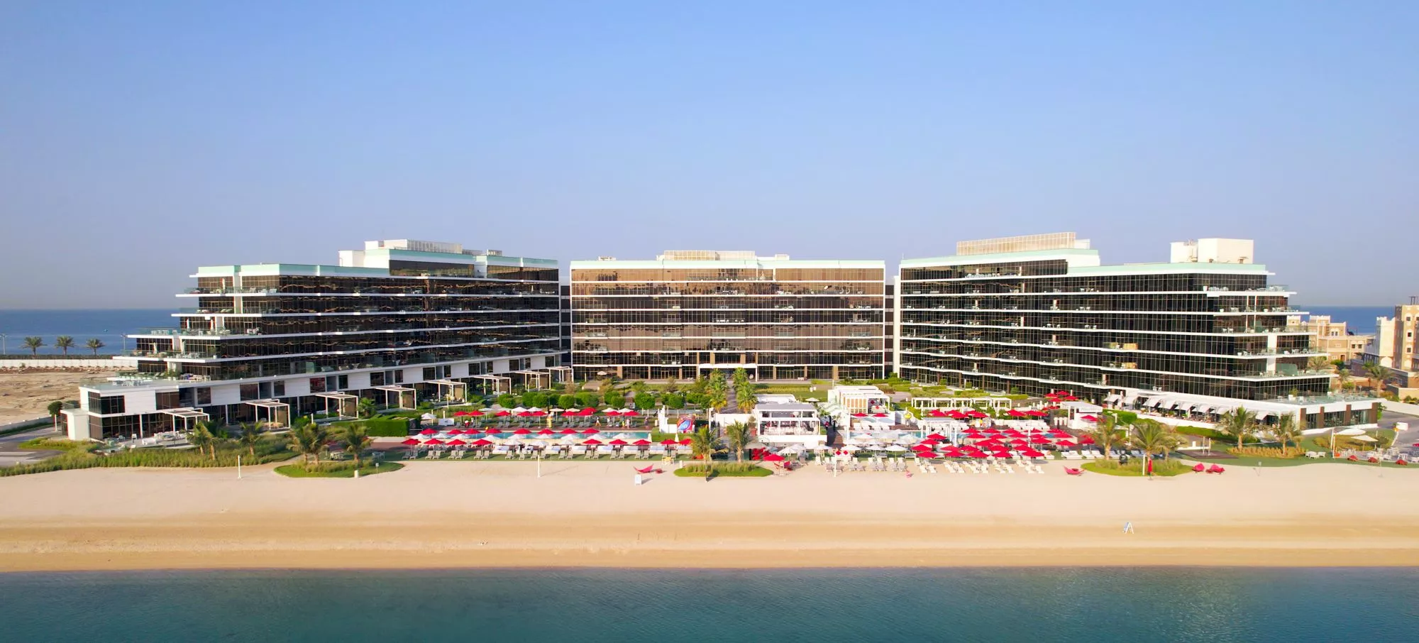 mansio th8 palm 5.jpg