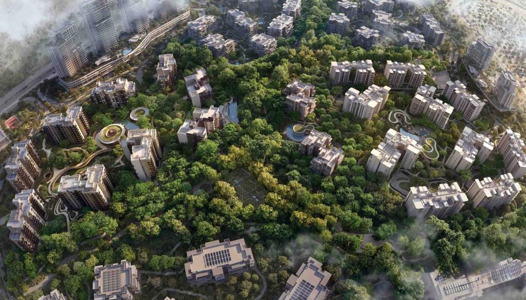 Ghaf Woods Capria AerialBalloonshot