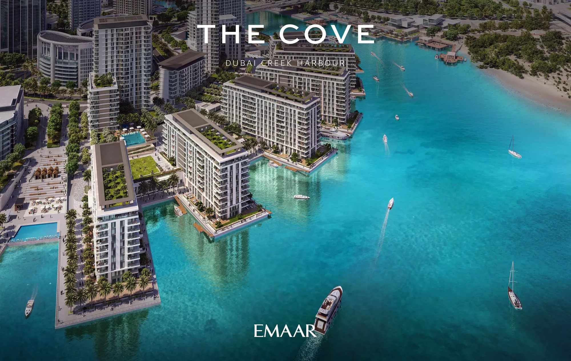 The Cove