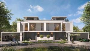 rivera the valley image01